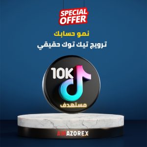 targeted-tiktok-sponsored-ad10k